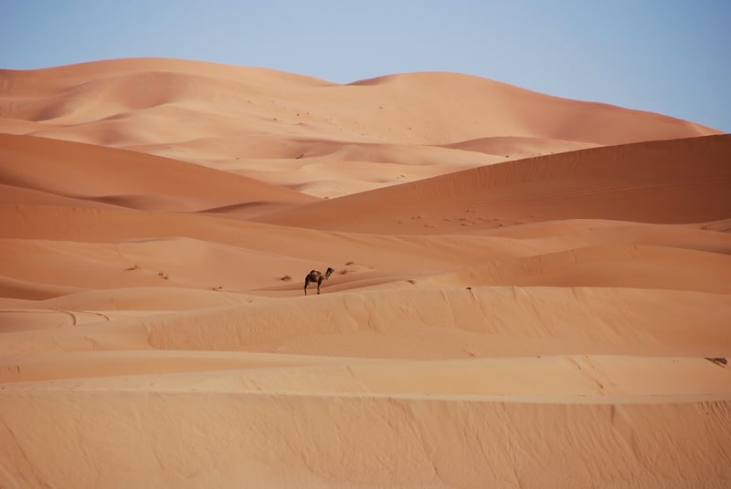 Moroccan Garden